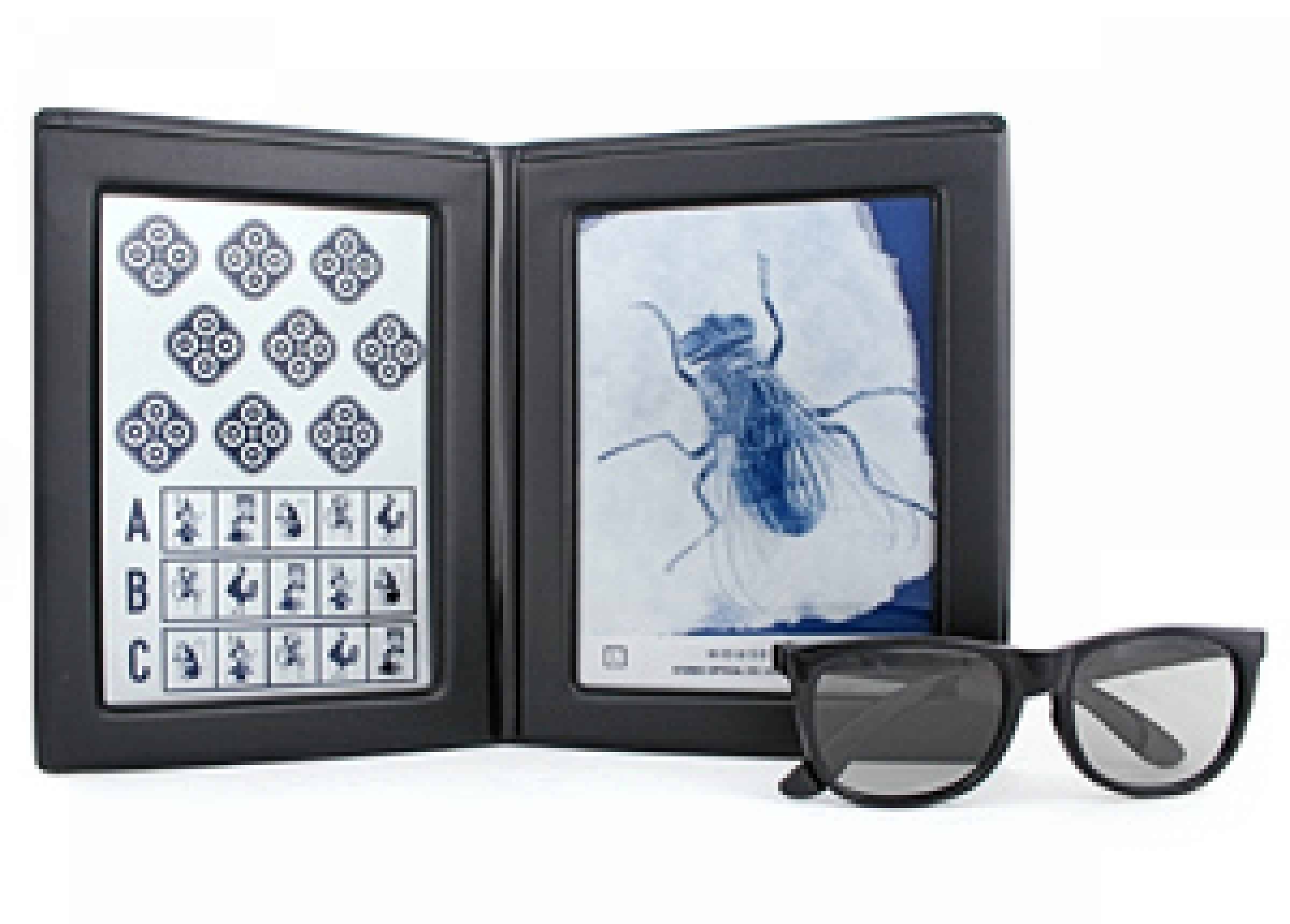 Stereo Fly Test Precision Vision